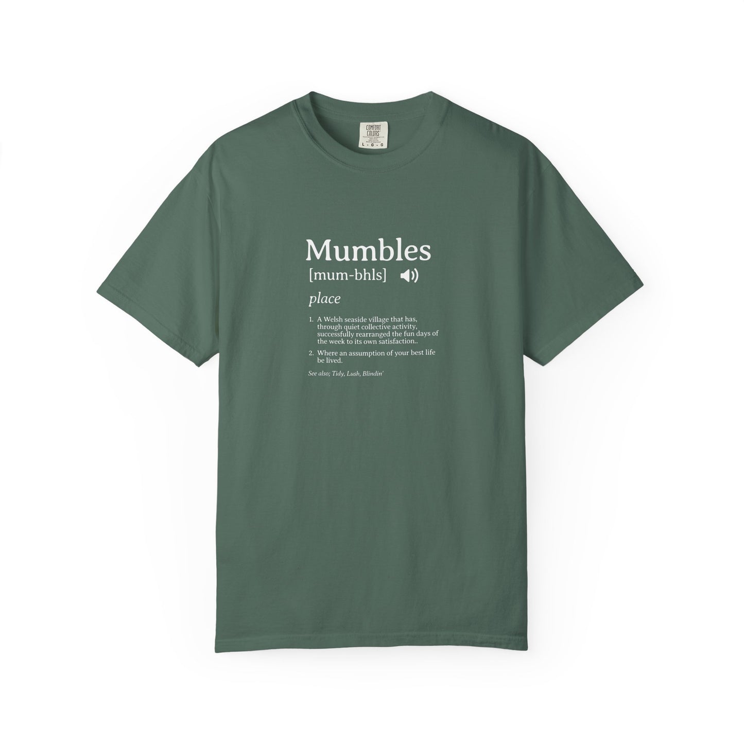 Mumbles | Fake Definition Satire T-shirt | 'Every Day's A Fun Day'