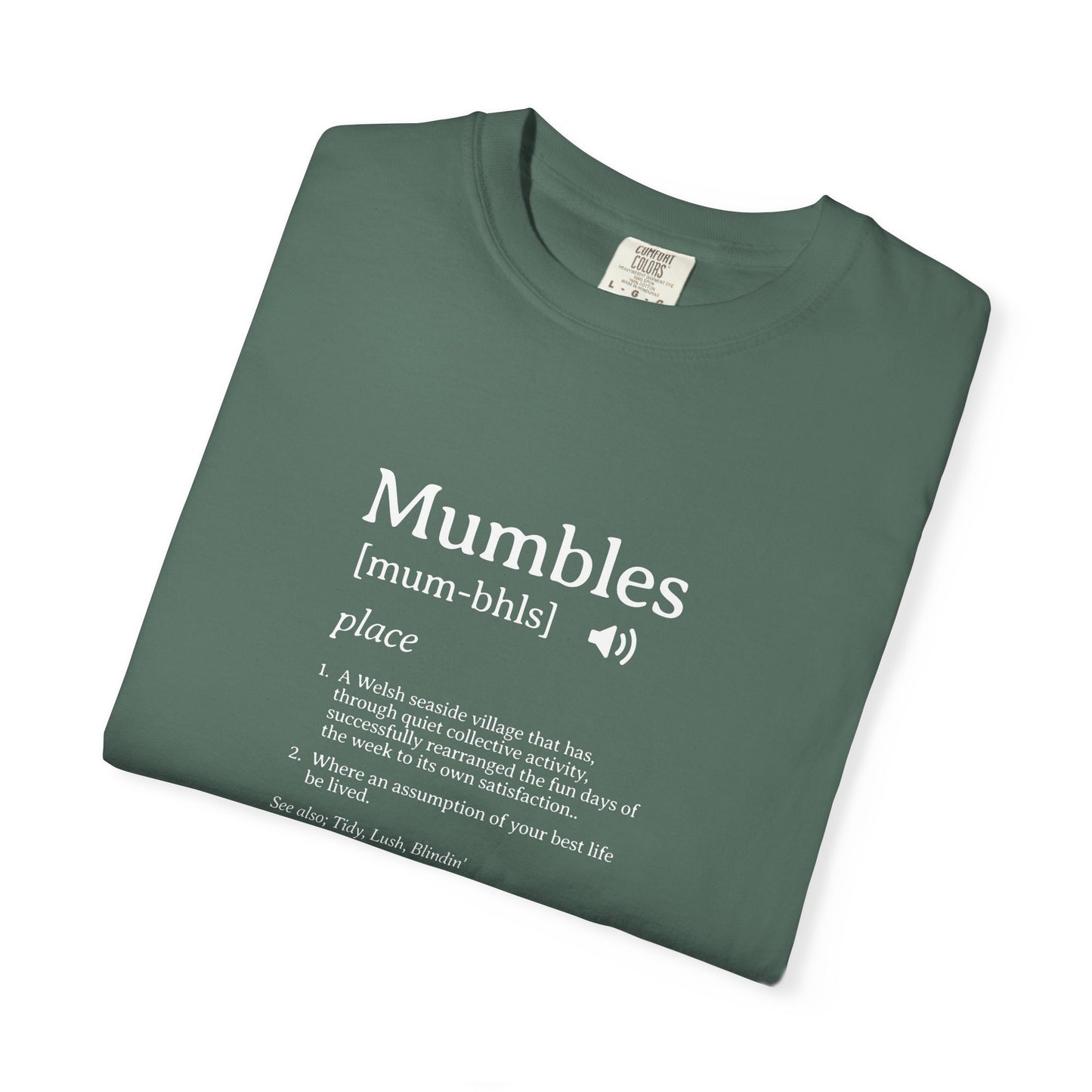 Mumbles | Fake Definition Satire T-shirt | 'Every Day's A Fun Day'