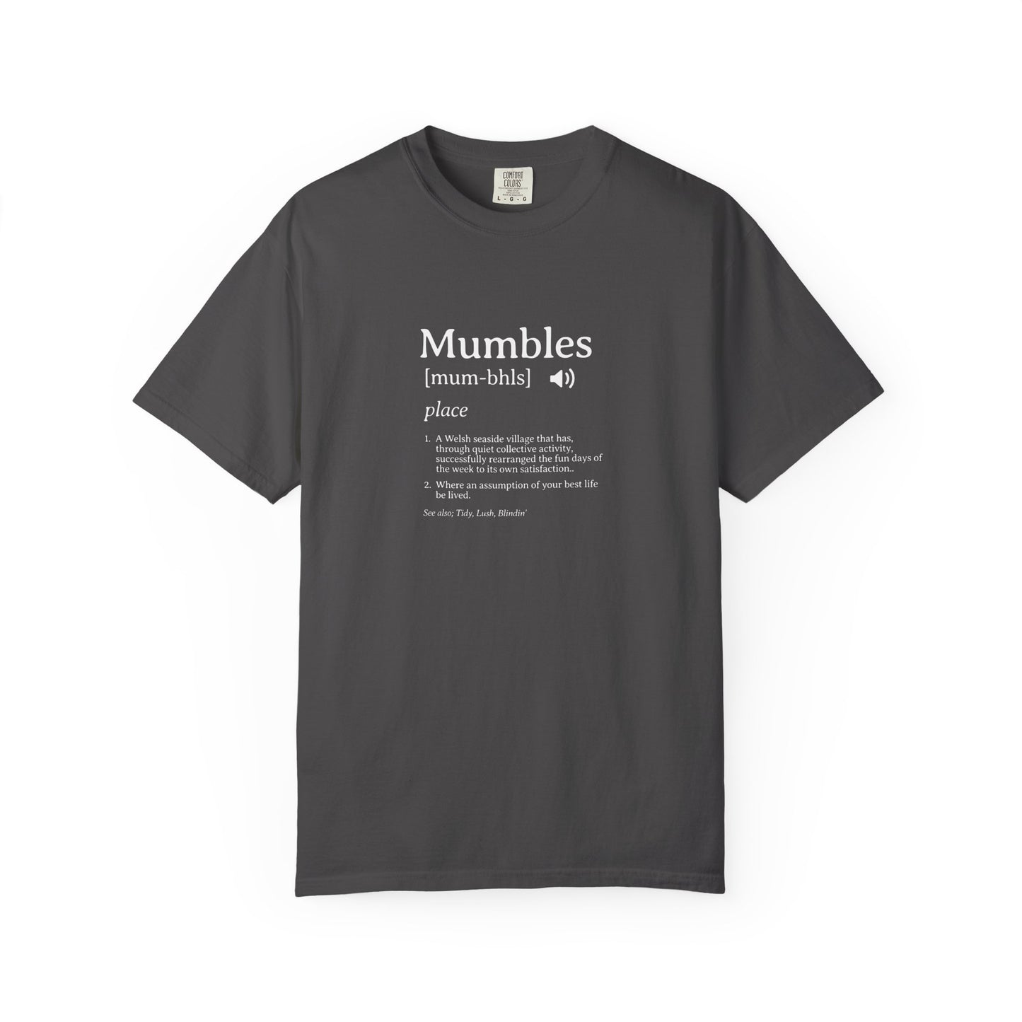 Mumbles | Fake Definition Satire T-shirt | 'Every Day's A Fun Day'