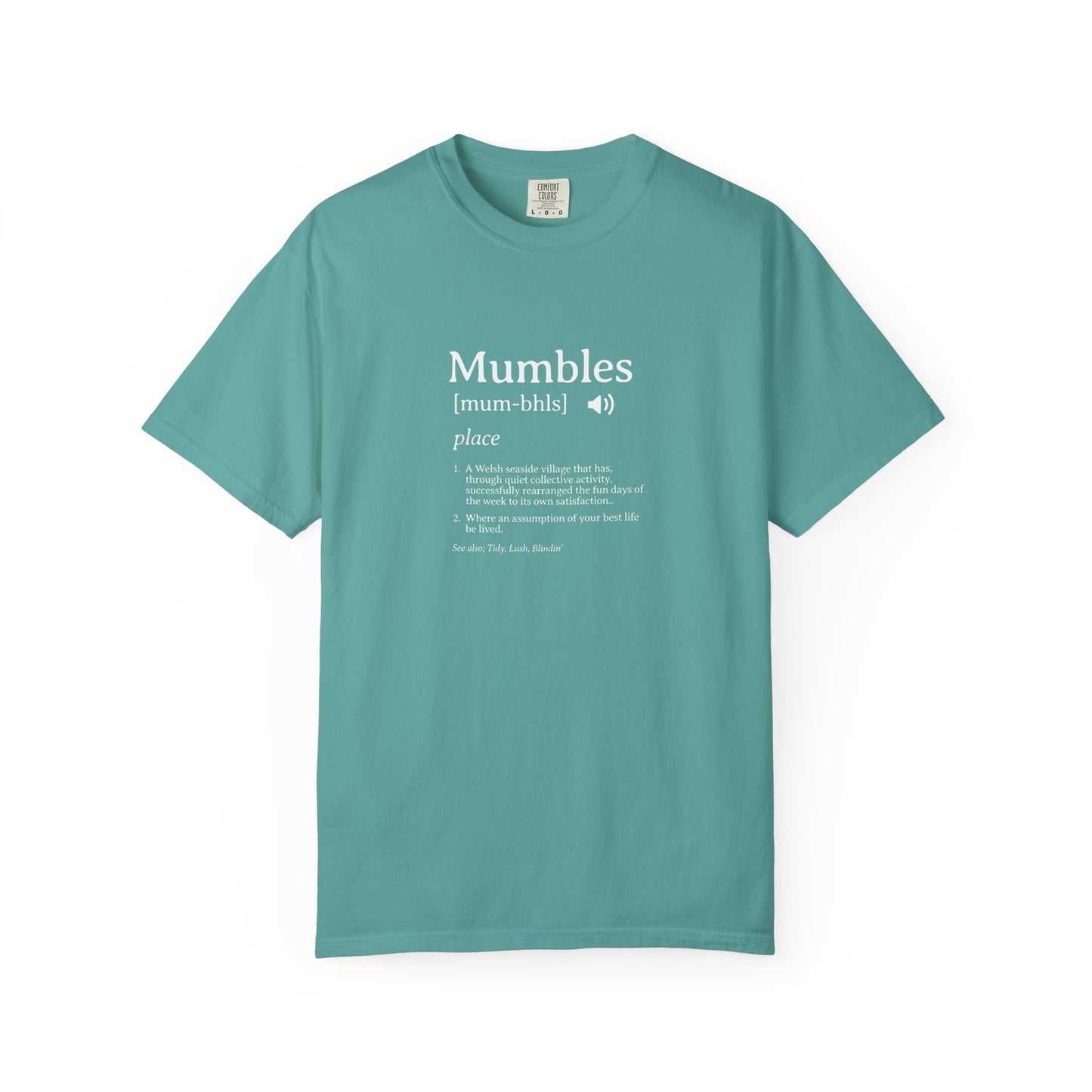 Mumbles | Fake Definition Satire T-shirt | 'Every Day's A Fun Day'
