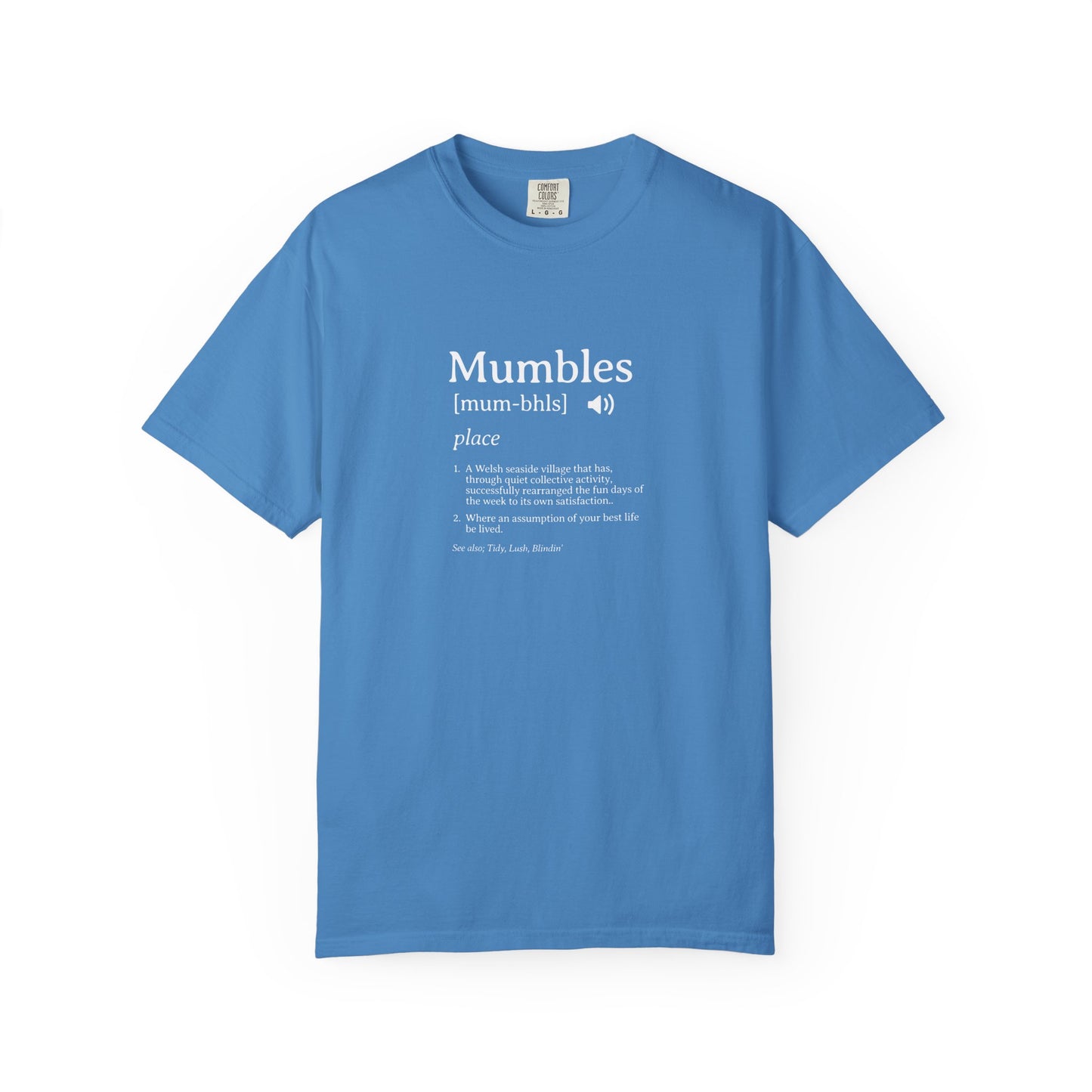 Mumbles | Fake Definition Satire T-shirt | 'Every Day's A Fun Day'