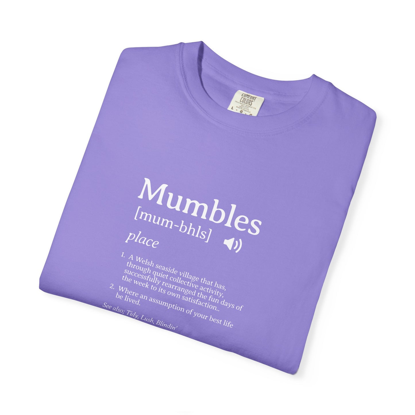 Mumbles | Fake Definition Satire T-shirt | 'Every Day's A Fun Day'